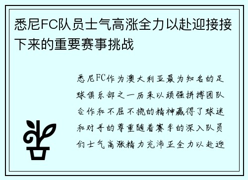 悉尼FC队员士气高涨全力以赴迎接接下来的重要赛事挑战