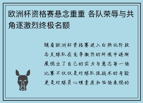 欧洲杯资格赛悬念重重 各队荣辱与共角逐激烈终极名额